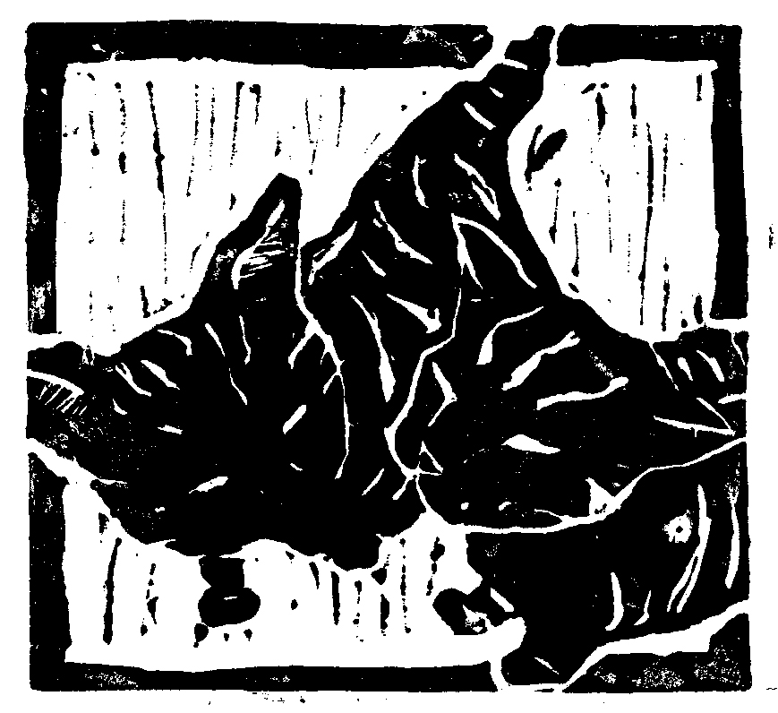 Linocut print of two cat profiles overlapping, ears raised, set against a textured striped background.