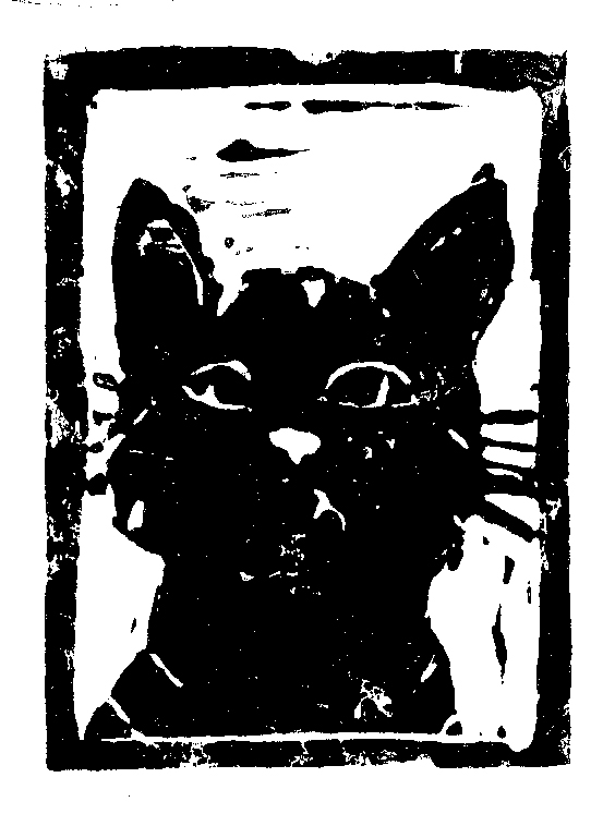 Linocut print of a cat's face shown close up, looking directly forward.